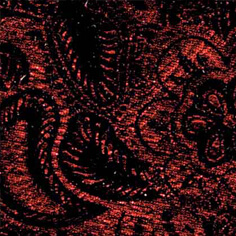 COLOR CACHEMIR 