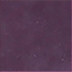 COLOR PLUM 